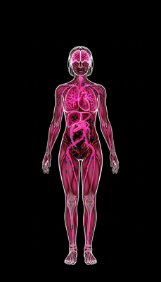 Pantothenic Acid (B5)