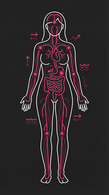 Muscle Building & Recovery